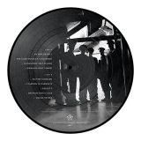 DROTTNAR: Welterwerk Picture LP